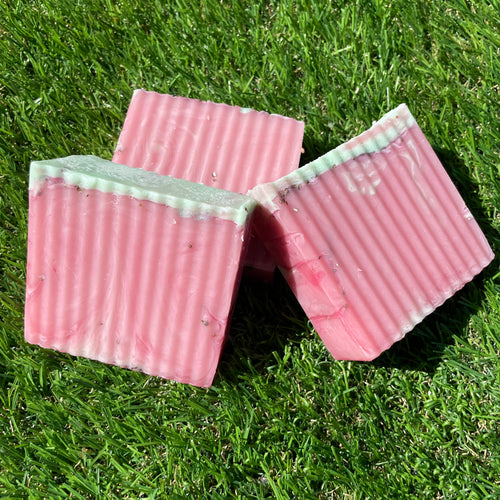 Barra para cabello y cuerpo Watermelon Patch