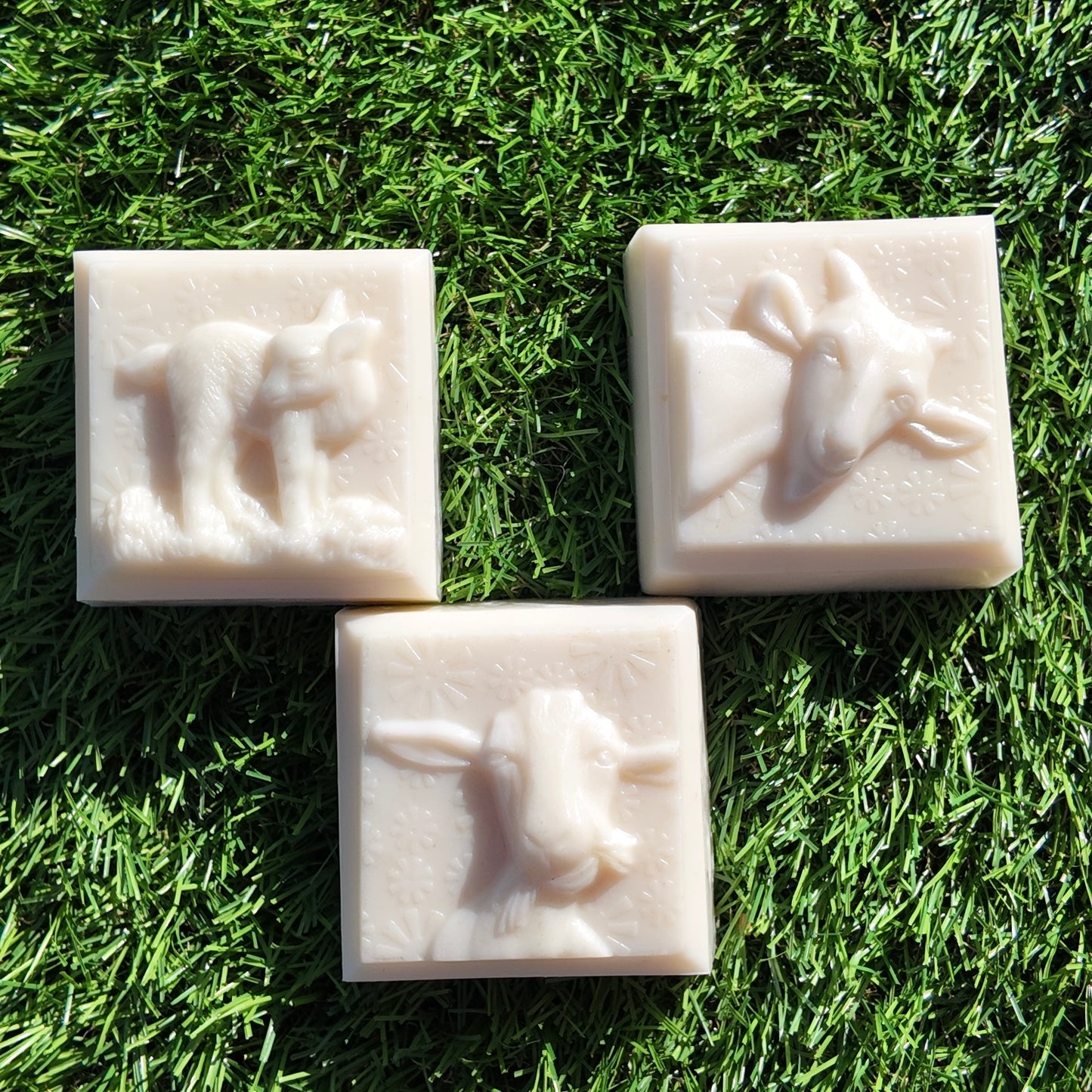 Goats Milk Hair & Body Bar