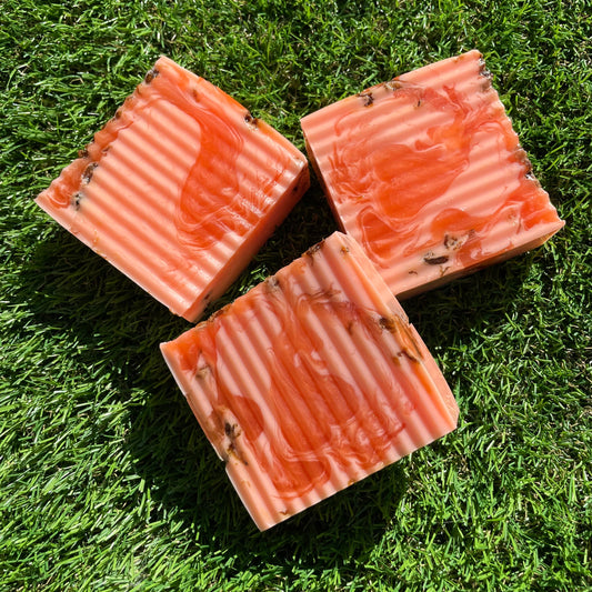 Citrus Punch Shampoo Bar ( infused w/ african black soap )